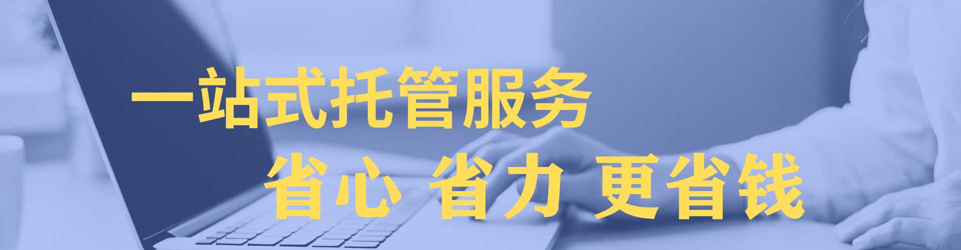 民权百度运营推广